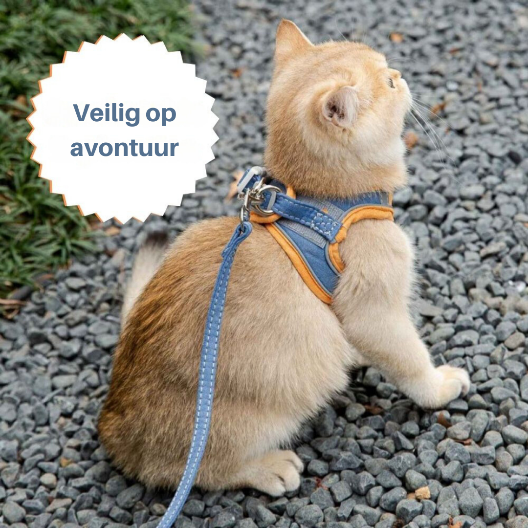 Cat Harness - Oscar Azura