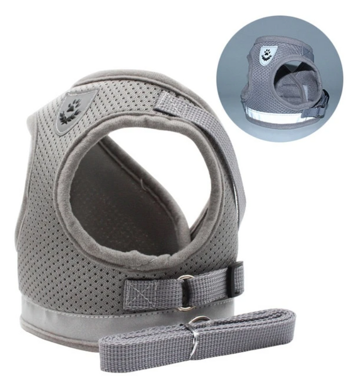 Cat Harness with Leash - AdventureKit Azura