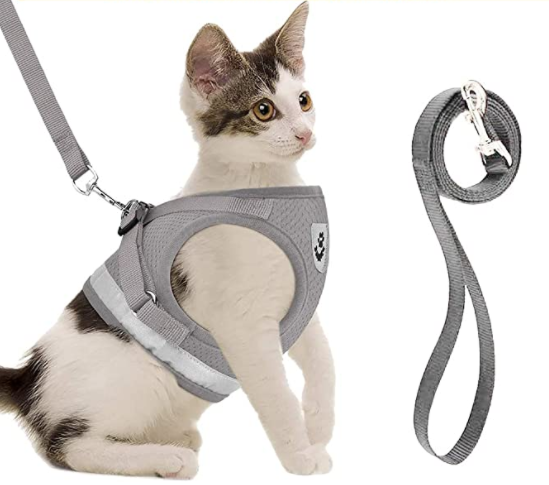 Cat Harness with Leash - AdventureKit Azura