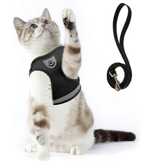 Cat Harness with Leash - AdventureKit Azura
