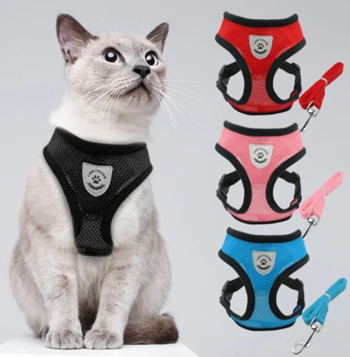Cat Harness with Leash - AdventureKit Azura