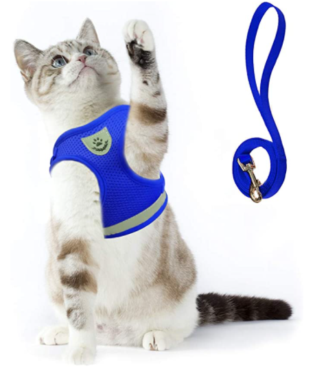 Cat Harness with Leash - AdventureKit Azura