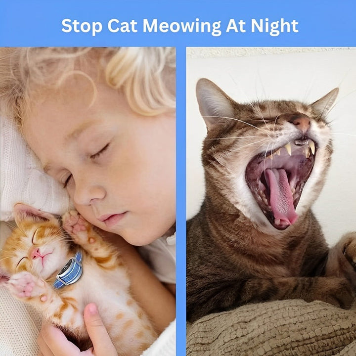 Azura | Cat Shock Collar with Remote for Effective Meowing Control