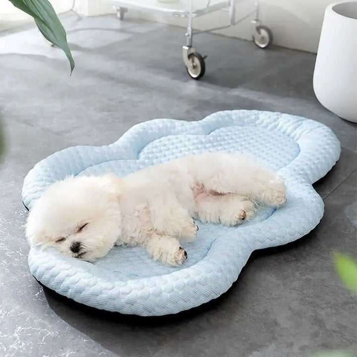 Azura | CLOUDCOOL – Breathable Cooling Mat for Dogs on Hot Days