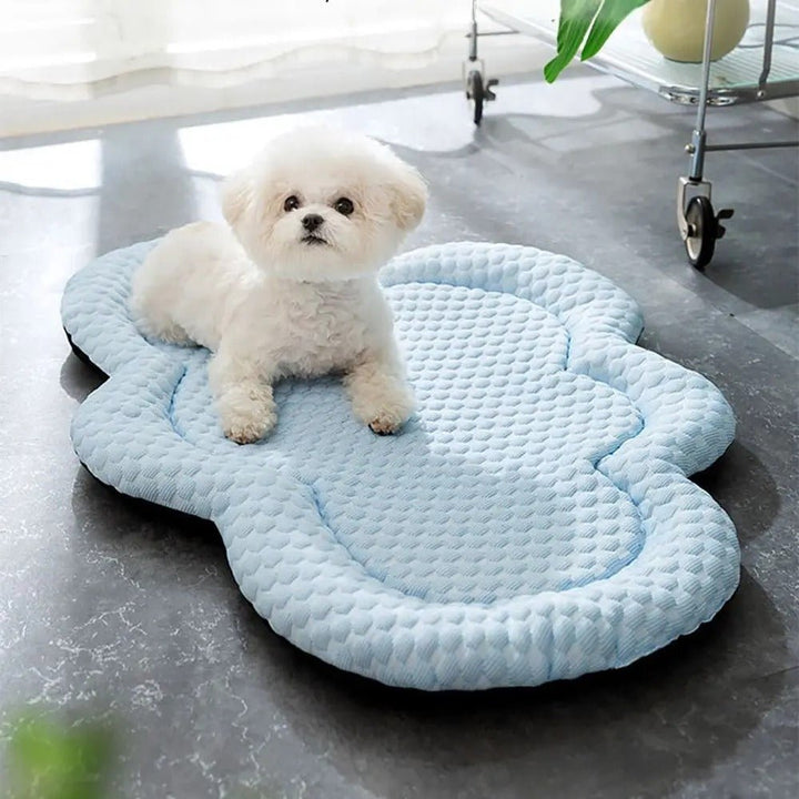 Azura | CLOUDCOOL – Breathable Cooling Mat for Dogs on Hot Days