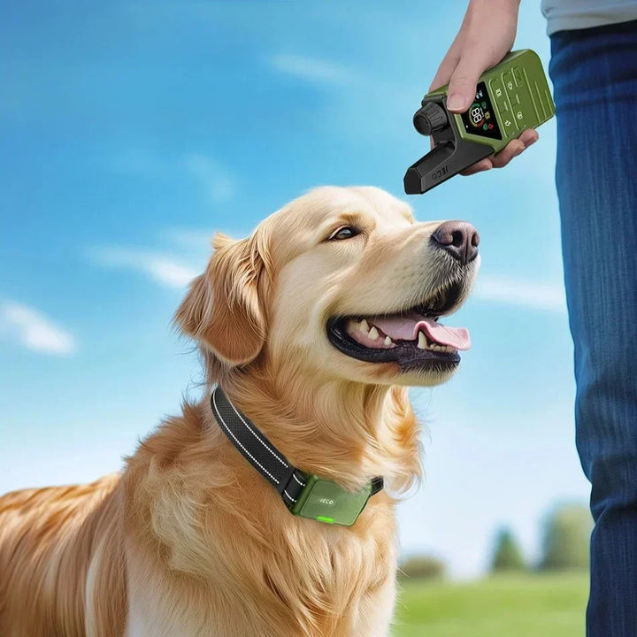 Azura | JECO – Professional Dog Training Collar | Anti-Bark & Remote Control