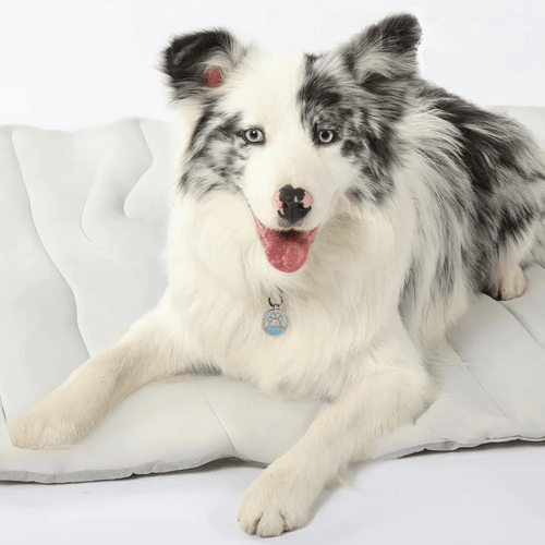 Azura | CoolPaws Cooling Mat – Self-Cooling Dog Mat for Hot Summer Relief
