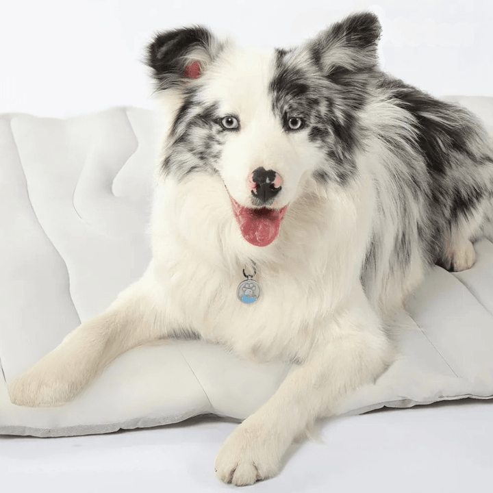 Azura | CoolPaws Cooling Mat – Self-Cooling Dog Mat for Hot Summer Relief