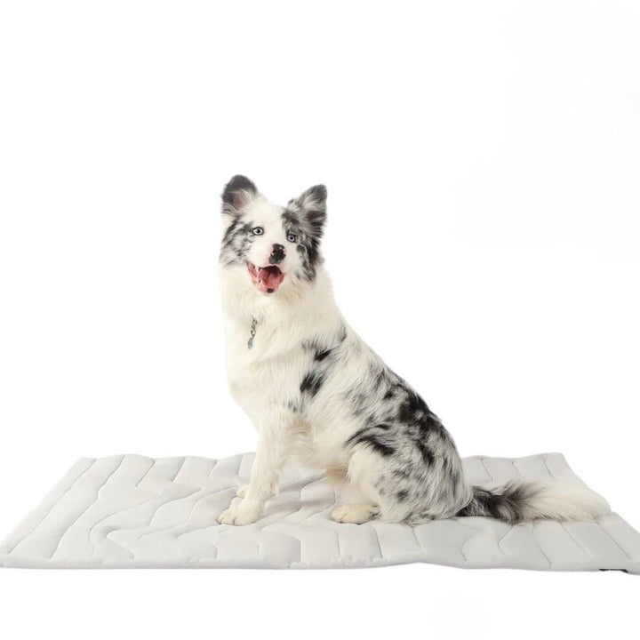 Azura | CoolPaws Cooling Mat – Self-Cooling Dog Mat for Hot Summer Relief