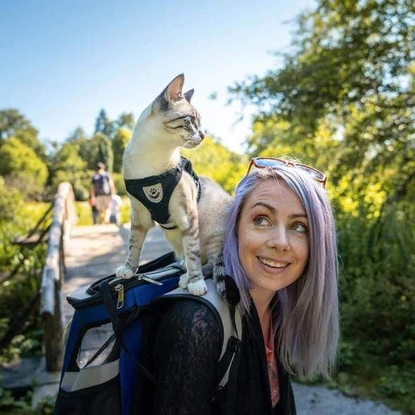 Azura | Reflective Cat Harness and Leash Set with Adjustable Straps for Safe Night Adventures – Comfortable Fit for Cats and Kittens