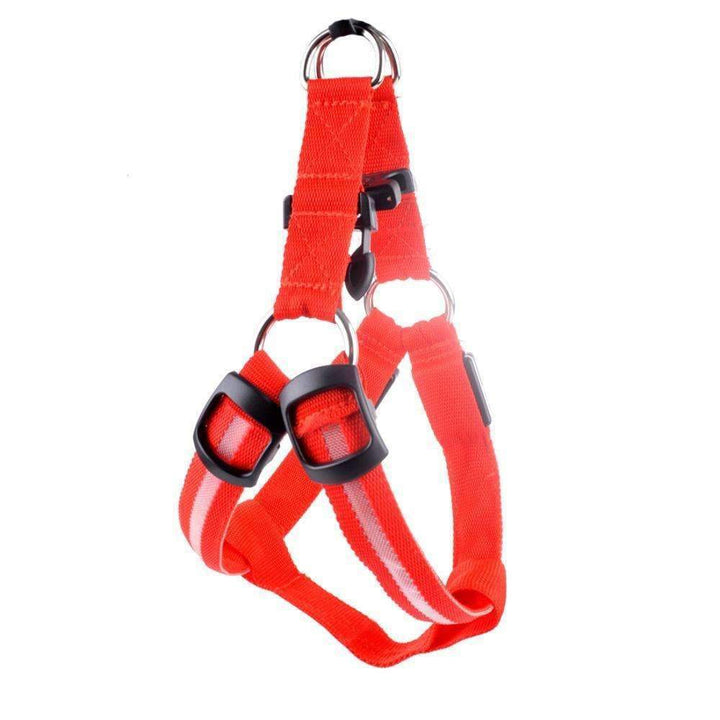 Azura | High-Quality Collar Dog - Without Any Fear of Missing Your Beloved Pet Dog!
