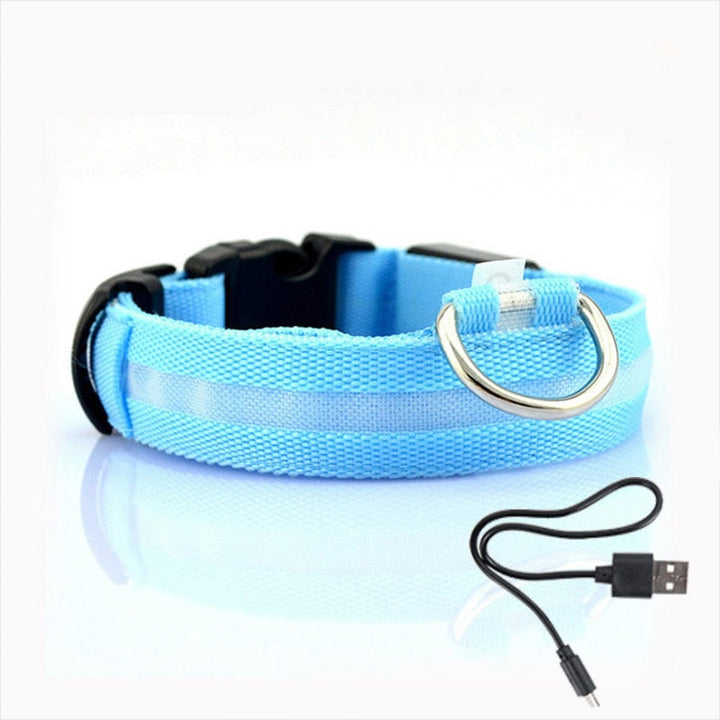 Dog collar with LED lighting - GlowCollar Azura
