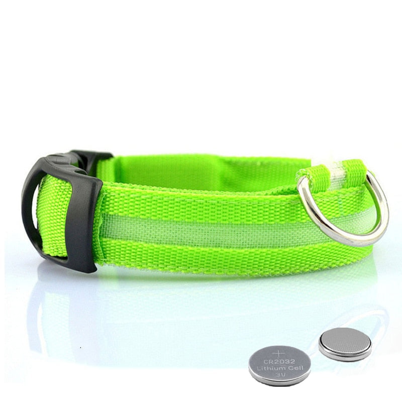 Dog collar with LED lighting - GlowCollar Azura