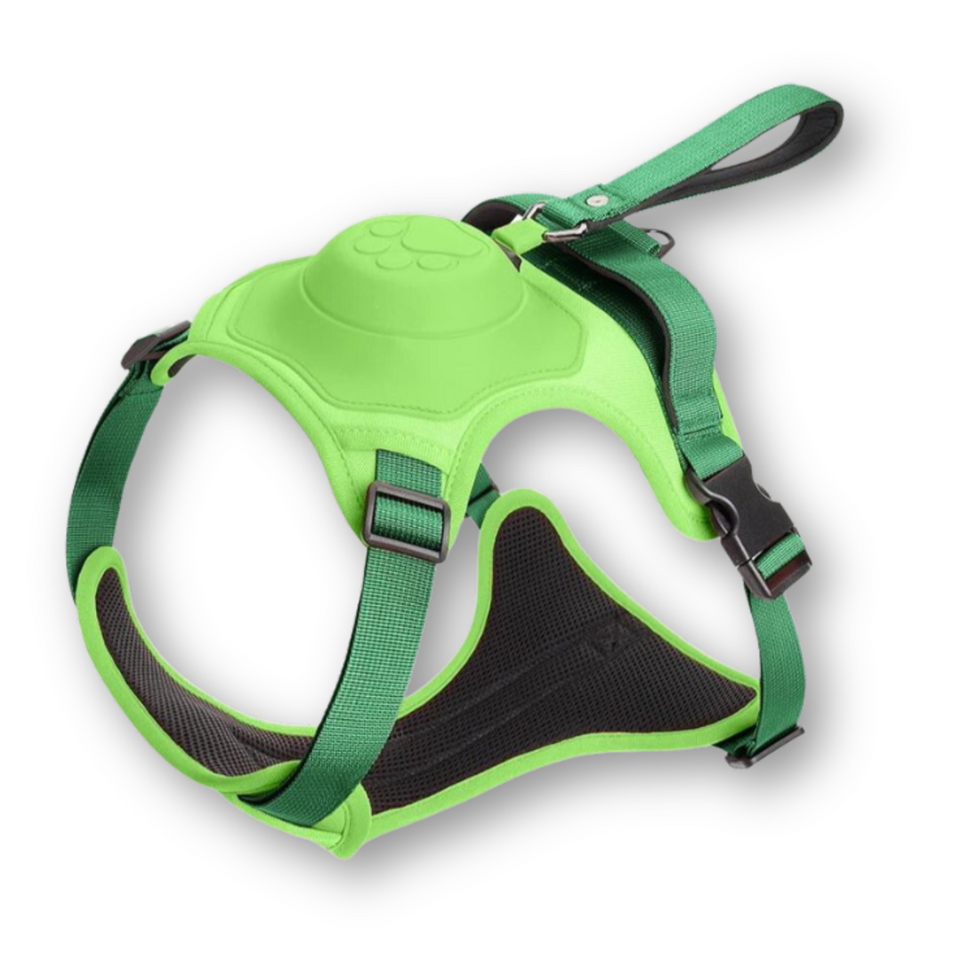 Dog Harness and Lead in One - FlexiLead Azura