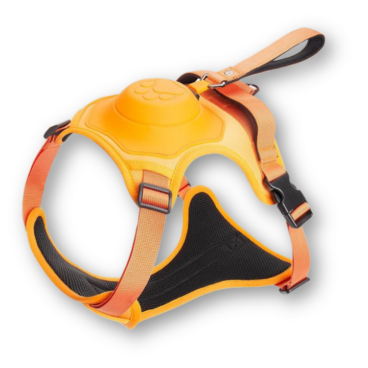Dog Harness and Lead in One - FlexiLead Azura