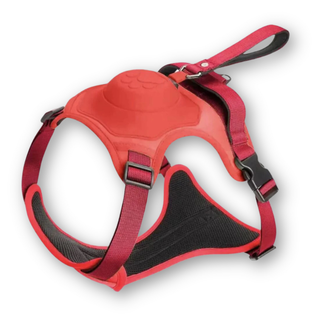 Dog Harness and Lead in One - FlexiLead Azura