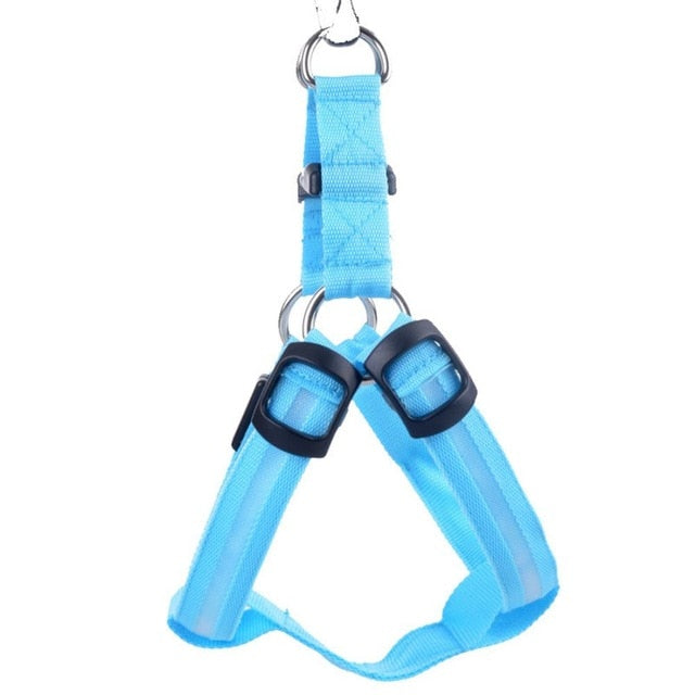 Dog harness with LED - Glow&Go Azura