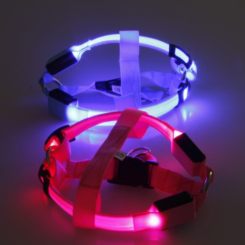 Dog harness with LED - Glow&Go Azura