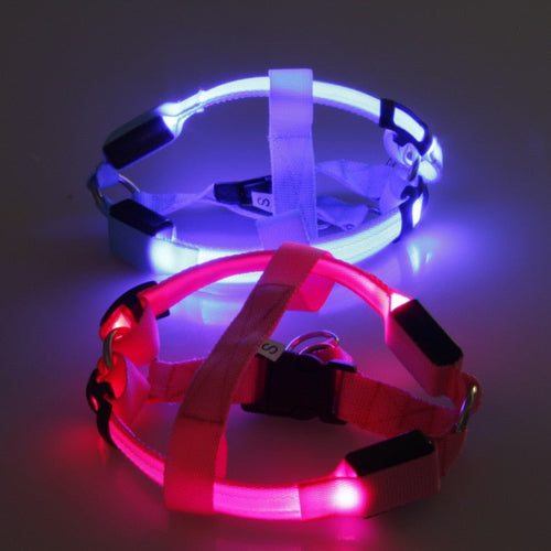 Dog harness with LED - Glow&Go Azura