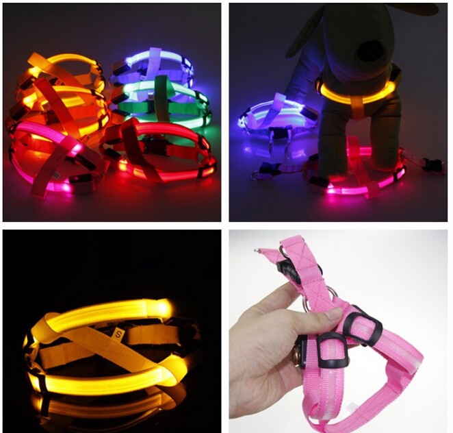 Dog harness with LED - Glow&Go Azura