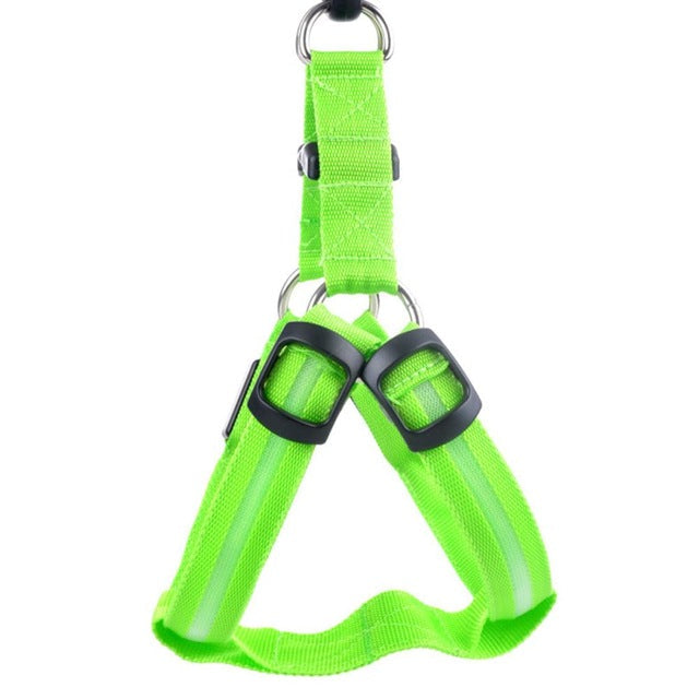 Dog harness with LED - Glow&Go Azura