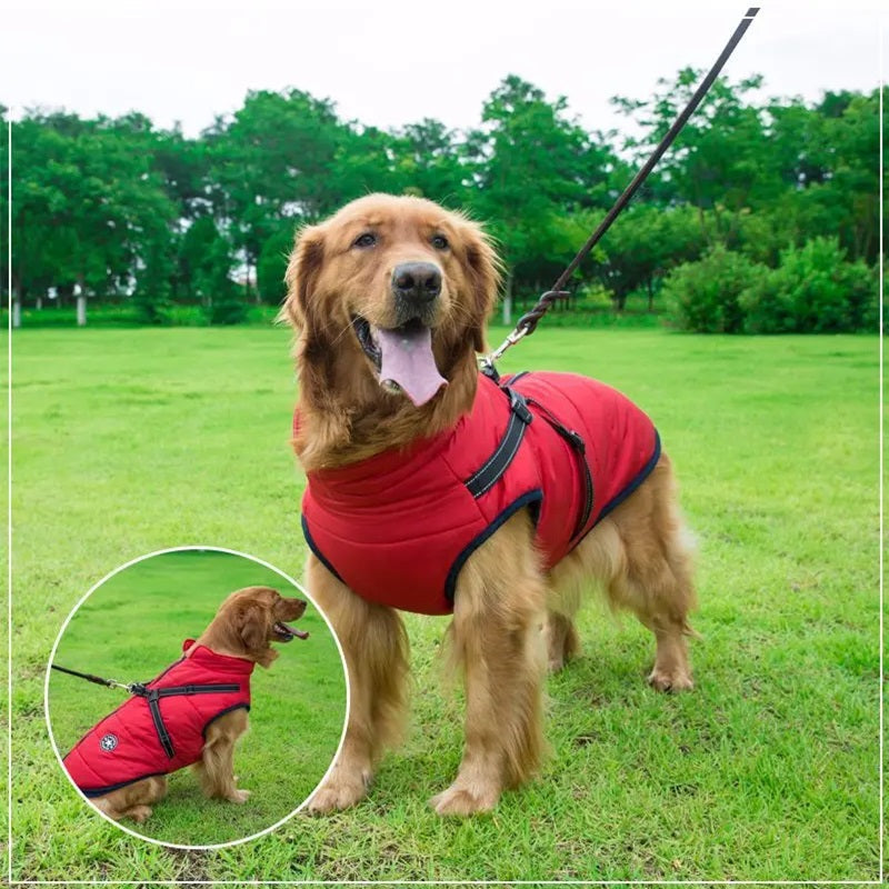Azura | Waterproof Dog Jacket for Winter with Reflective Built-In Harness