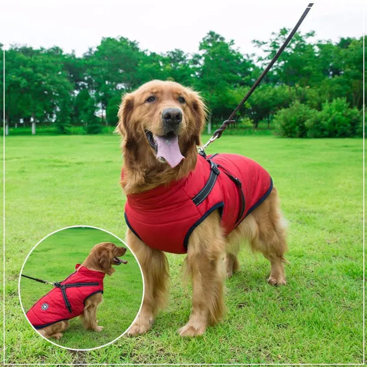 Azura | Waterproof Dog Jacket for Winter with Reflective Built-In Harness