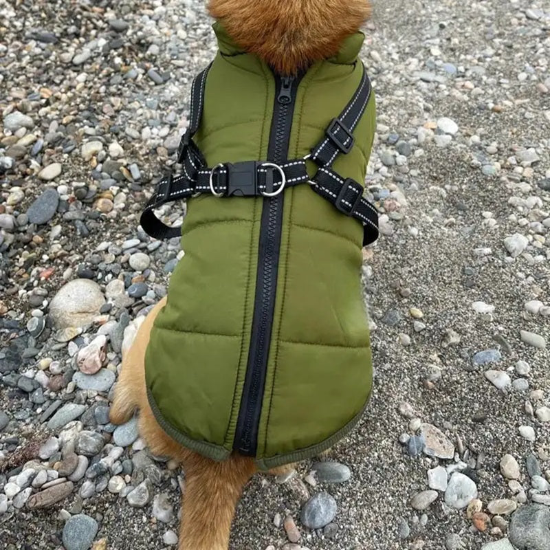 Azura | Waterproof Dog Jacket for Winter with Reflective Built-In Harness