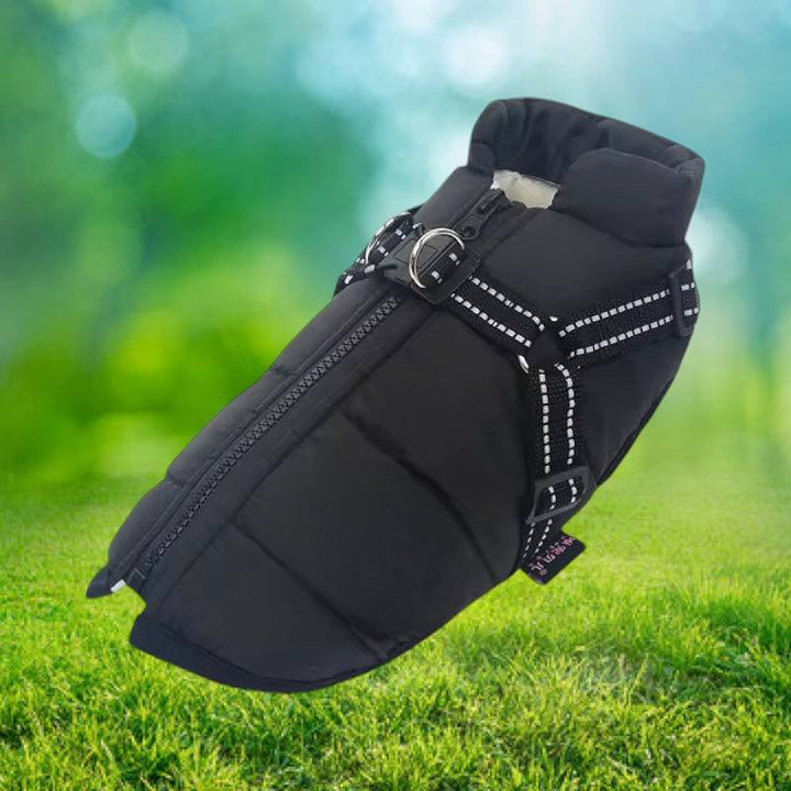 Azura | Waterproof Dog Jacket for Winter with Reflective Built-In Harness