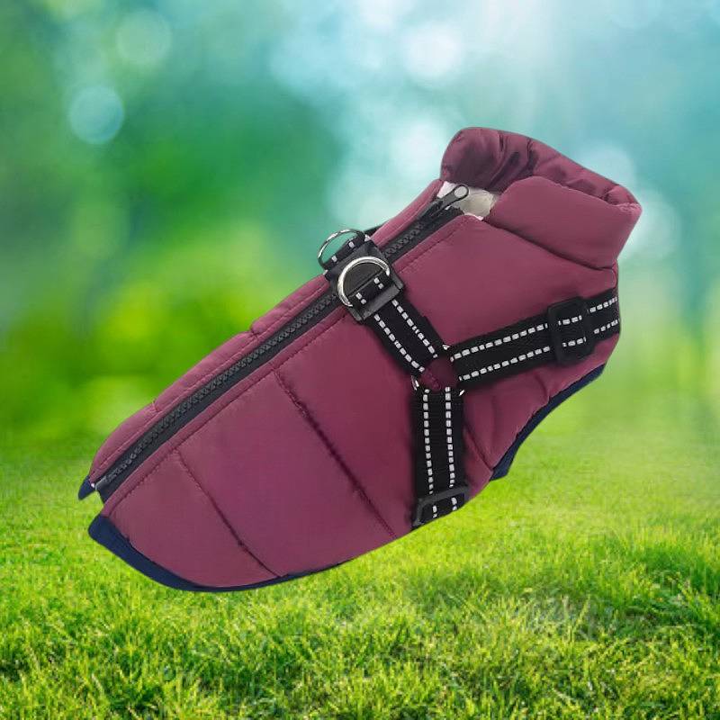 Azura | Waterproof Dog Jacket for Winter with Reflective Built-In Harness