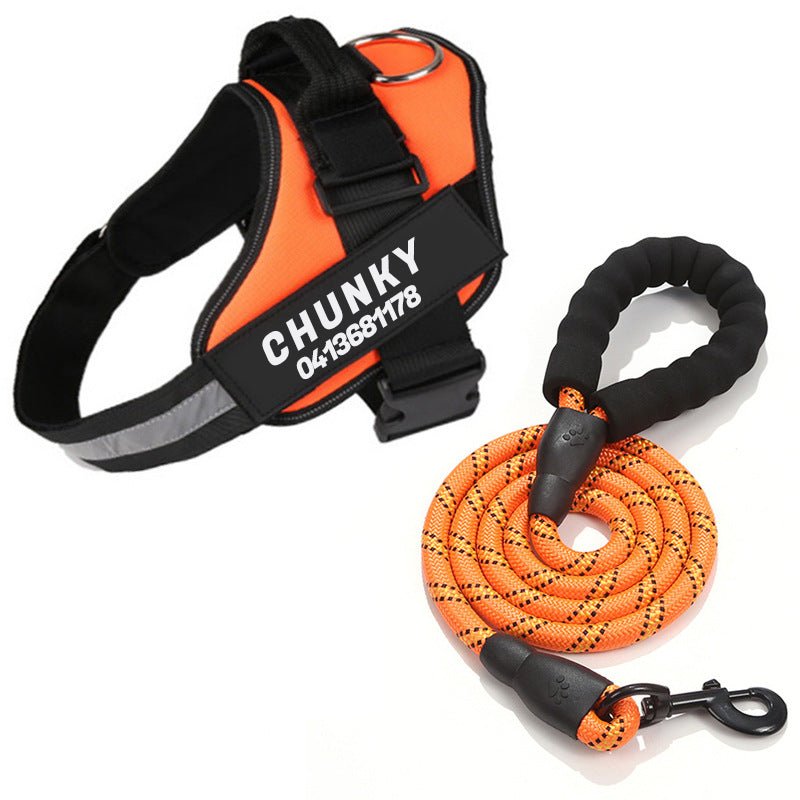 Azura | Dogsafe Harness – Reflective, No-Pull Dog Harness with Personalizable Name Tag