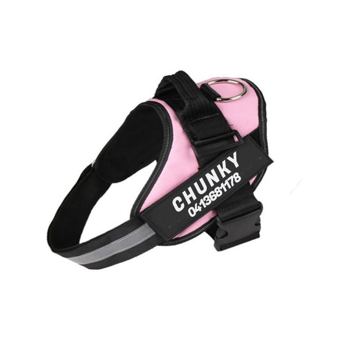 Azura | Dogsafe Harness – Reflective, No-Pull Dog Harness with Personalizable Name Tag