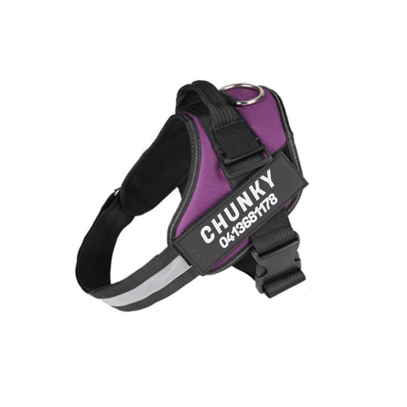 Azura | Dogsafe Harness – Reflective, No-Pull Dog Harness with Personalizable Name Tag