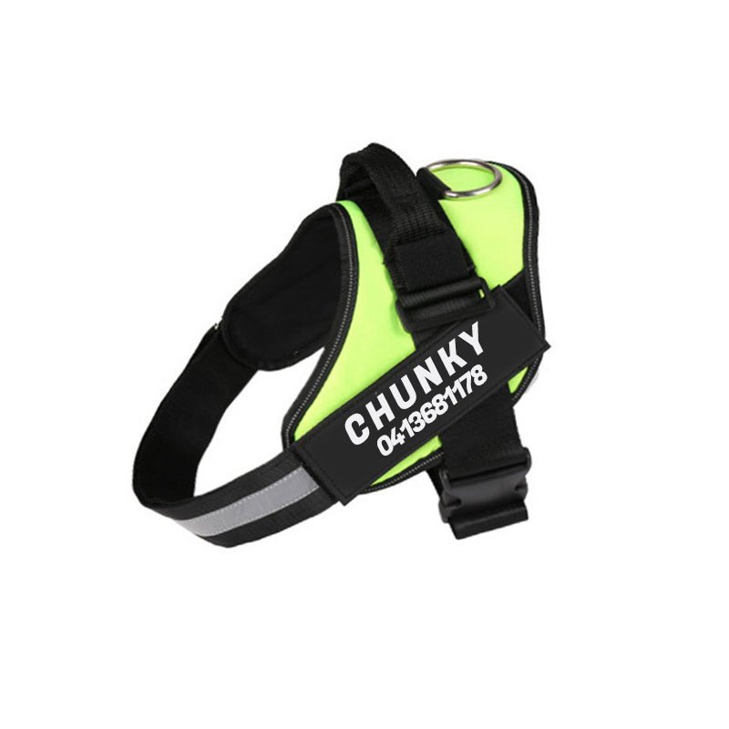Azura | Dogsafe Harness – Reflective, No-Pull Dog Harness with Personalizable Name Tag