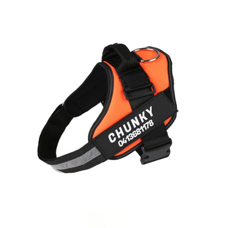 Azura | Dogsafe Harness – Reflective, No-Pull Dog Harness with Personalizable Name Tag