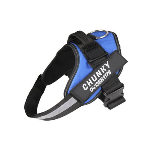 Azura | Dogsafe Harness – Reflective, No-Pull Dog Harness with Personalizable Name Tag