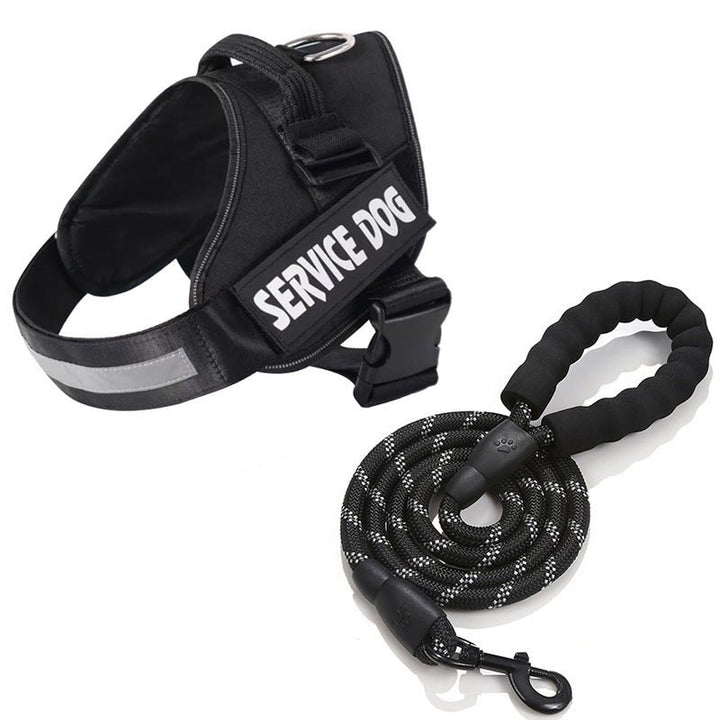 Azura | Dogsafe Harness – Reflective, No-Pull Dog Harness with Personalizable Name Tag