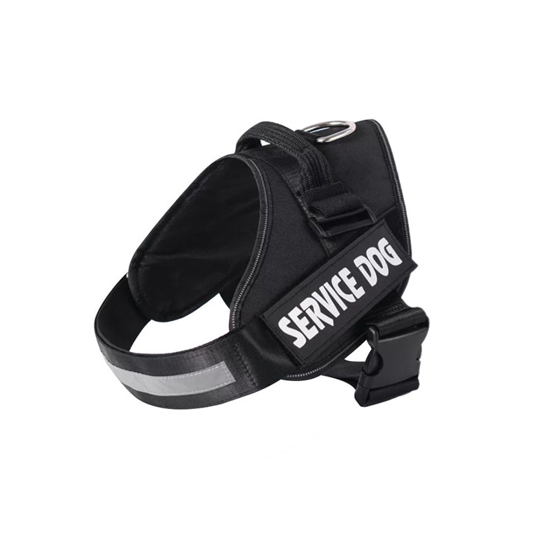 Azura | Dogsafe Harness – Reflective, No-Pull Dog Harness with Personalizable Name Tag