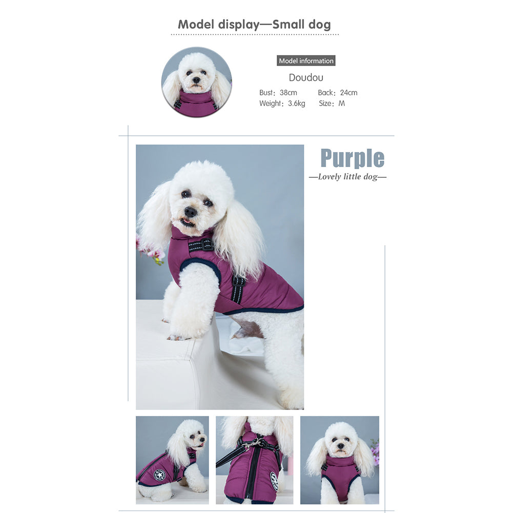 Azura | WoofGuard - Waterproof Winter Jacket with Integrated Harness