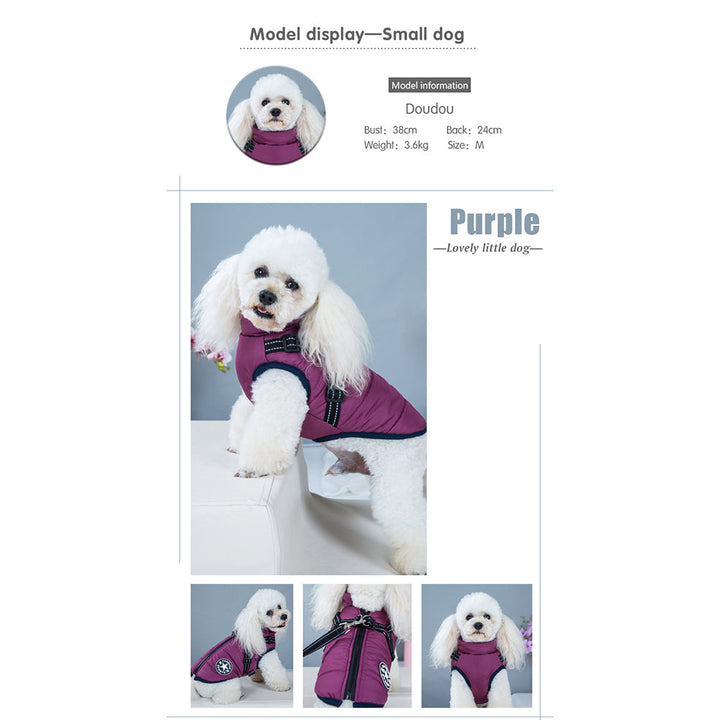 Azura | WoofGuard - Waterproof Winter Jacket with Integrated Harness