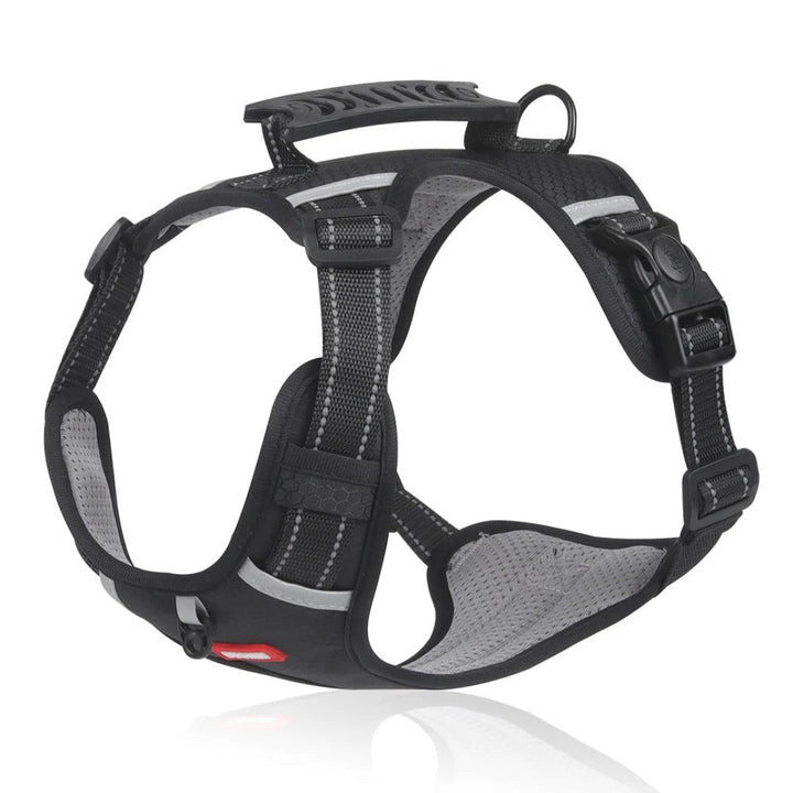 Azura | PawEase Adjustable Anti-Stick Dog Harness – Washable and Comfortable