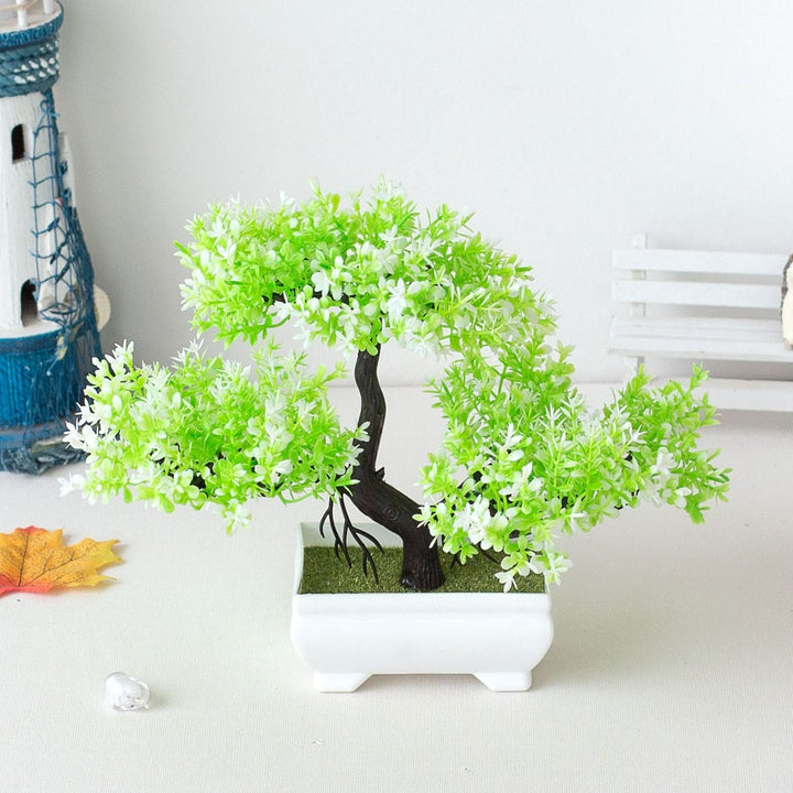 BowLift | Plant Bonsai