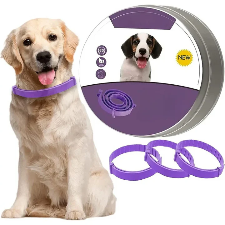 Azura | Pheromone Calming Collar