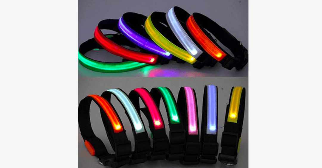 Azura | LED Dog Collar – Keep an eye on your pet!