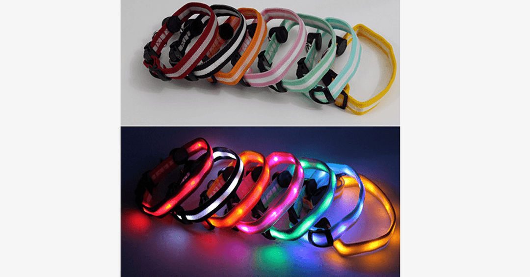 Azura | LED Dog Collar – Keep an eye on your pet!
