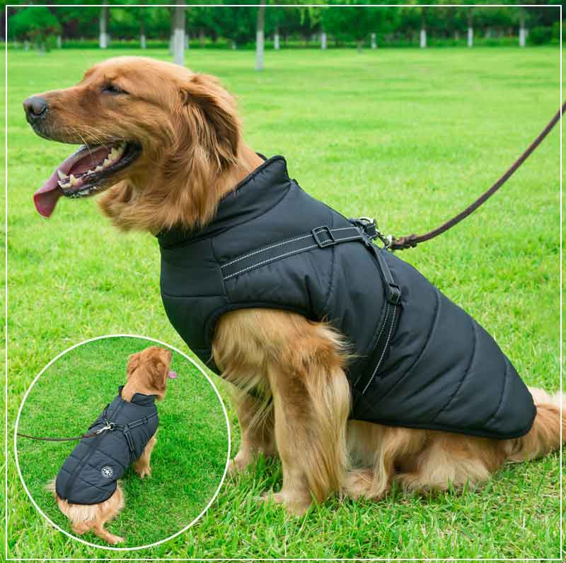 Azura | PupGuard - Winter-Dog Coat with Harness