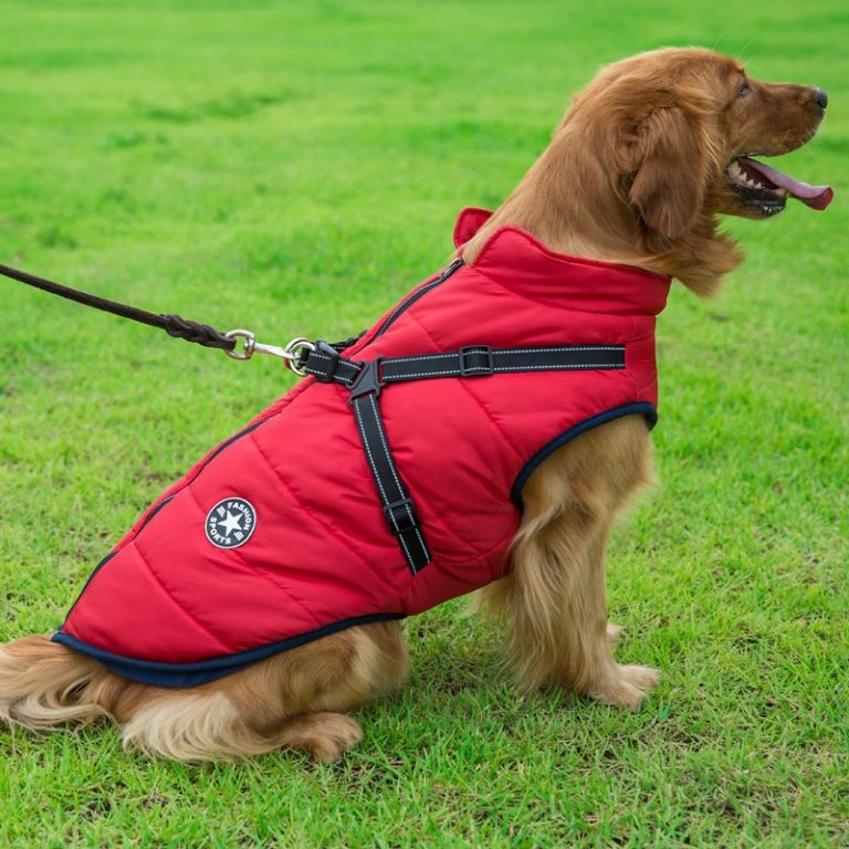 Azura | PupGuard - Winter-Dog Coat with Harness