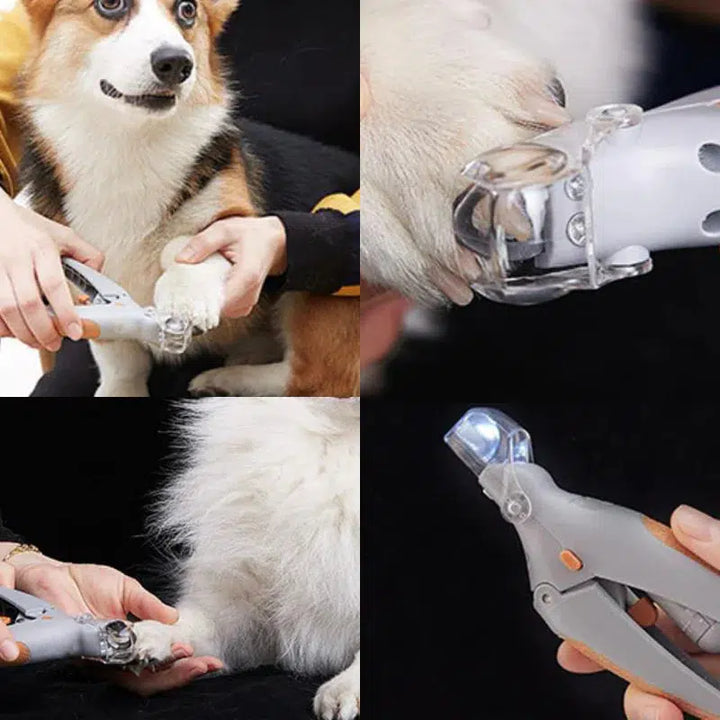 Azura | MAX - The best nail clippers for dogs with quick sensors