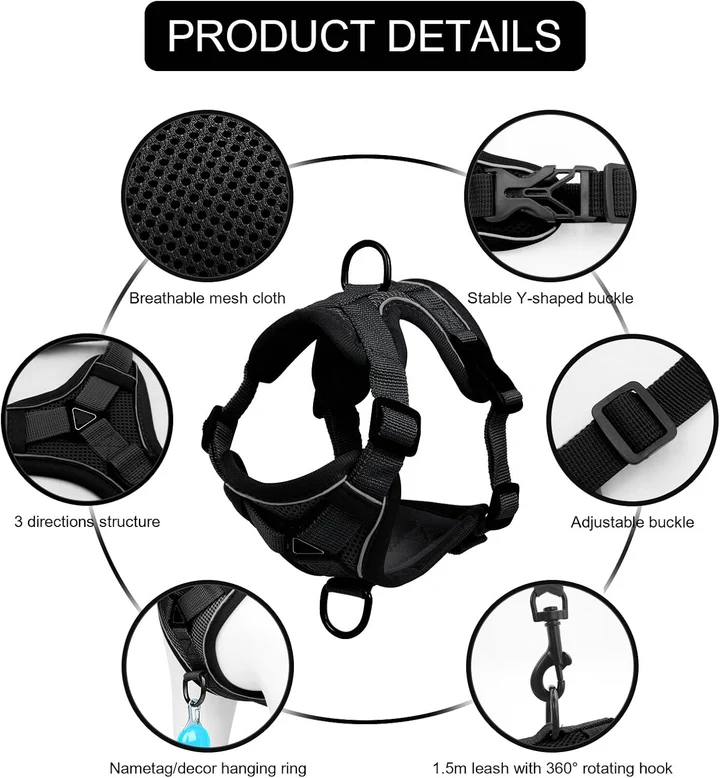 Azura | Reflective Cat Harness and Leash Set