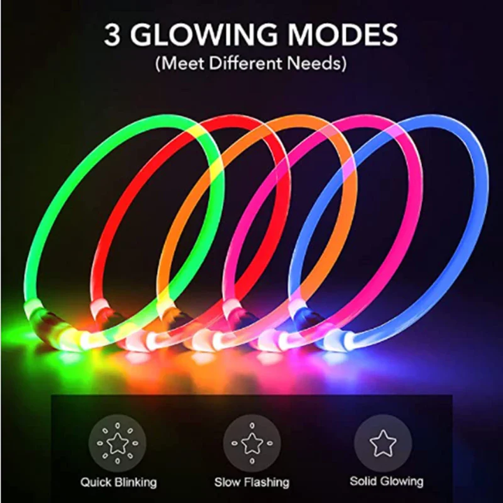 Azura | Light Up Dog Collar, USB Rechargeable LED Glowing Collar